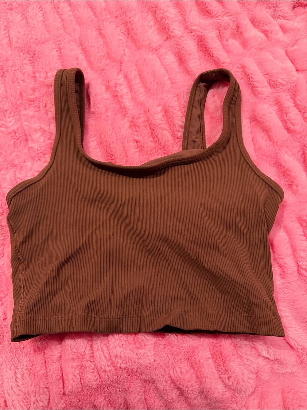 Aerie Brown Ribbed Bra